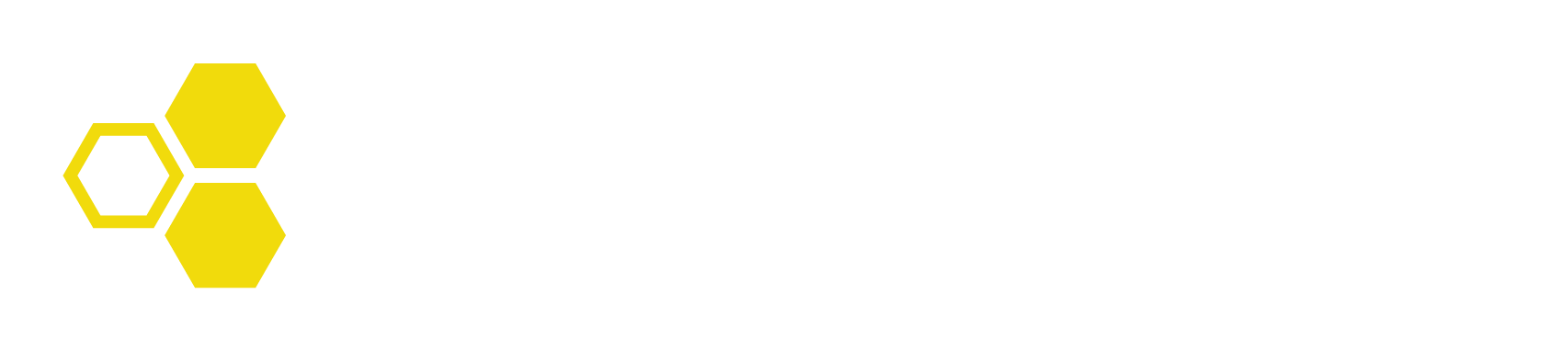 Solutionist Car Care
